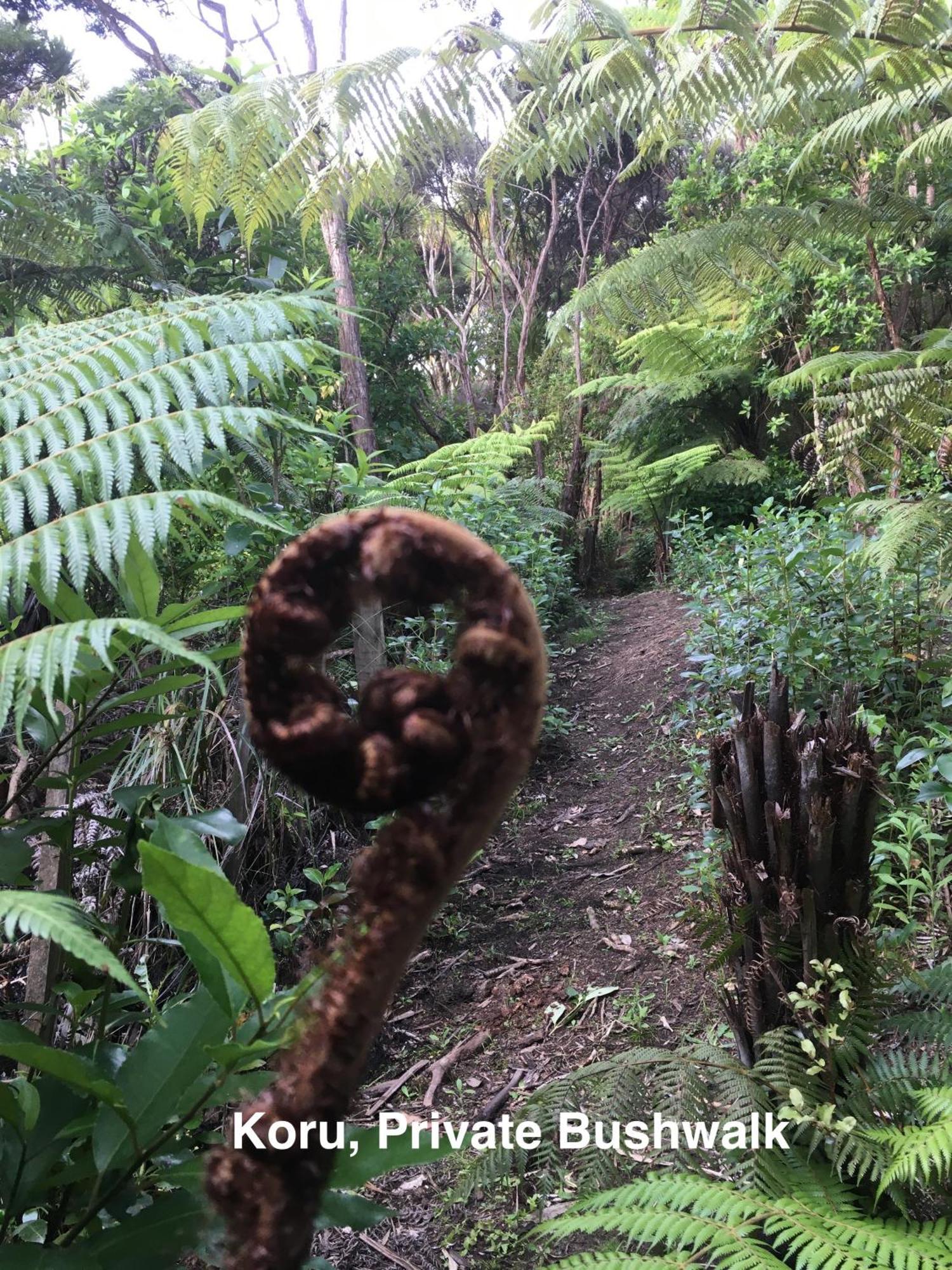 Bethells Beach Te Henga Hideaway 빌라 외부 사진
