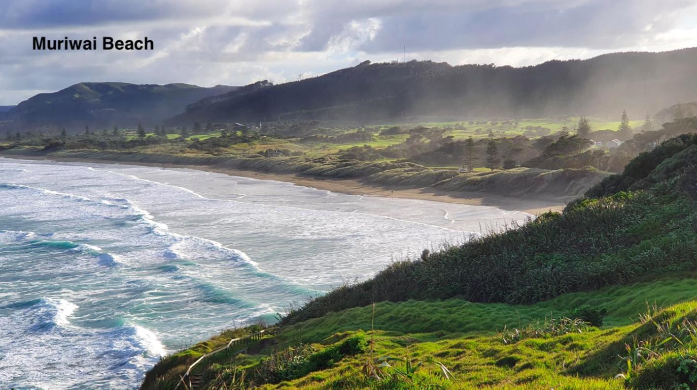 Bethells Beach Te Henga Hideaway 빌라 외부 사진