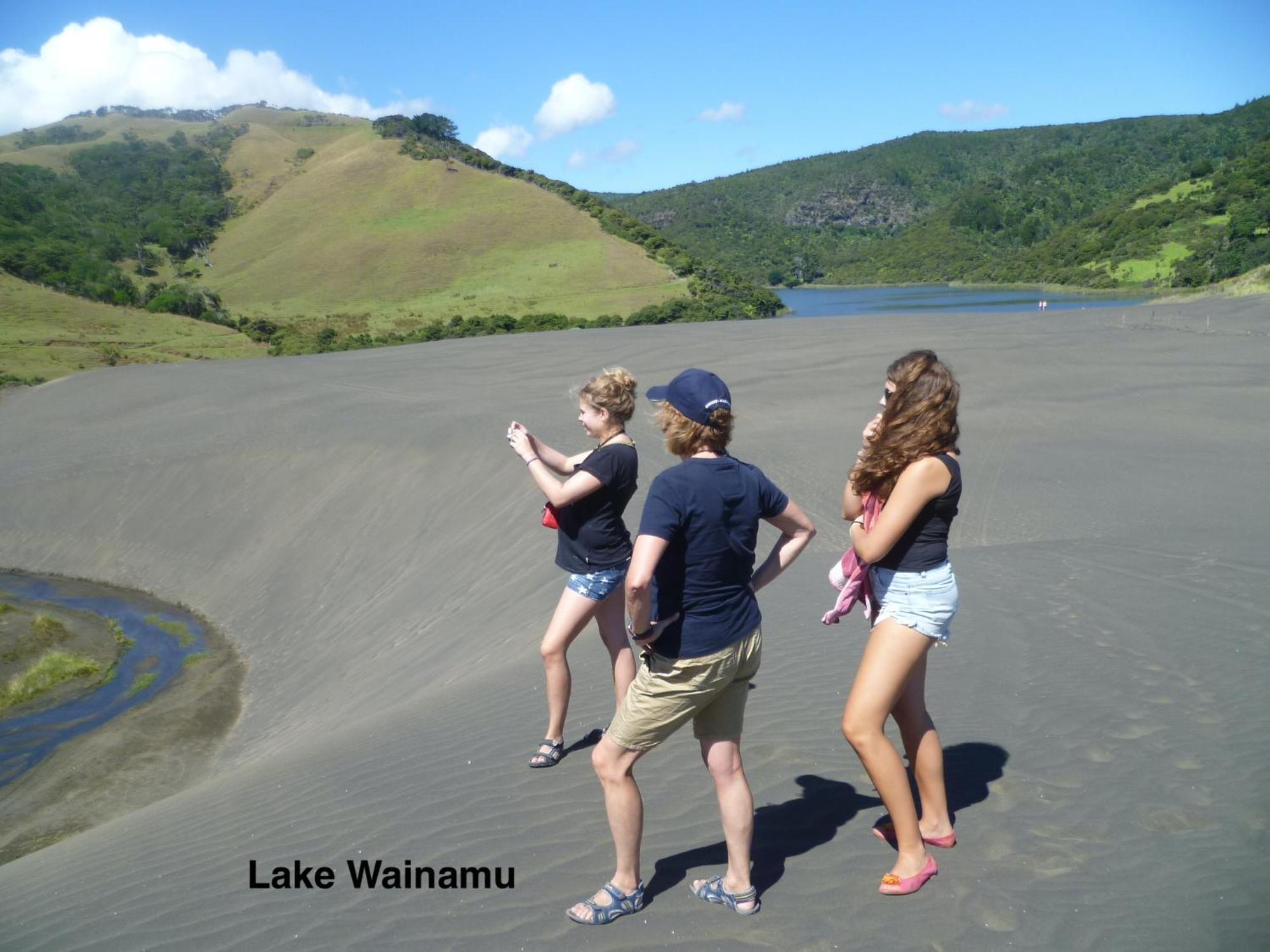 Bethells Beach Te Henga Hideaway 빌라 외부 사진