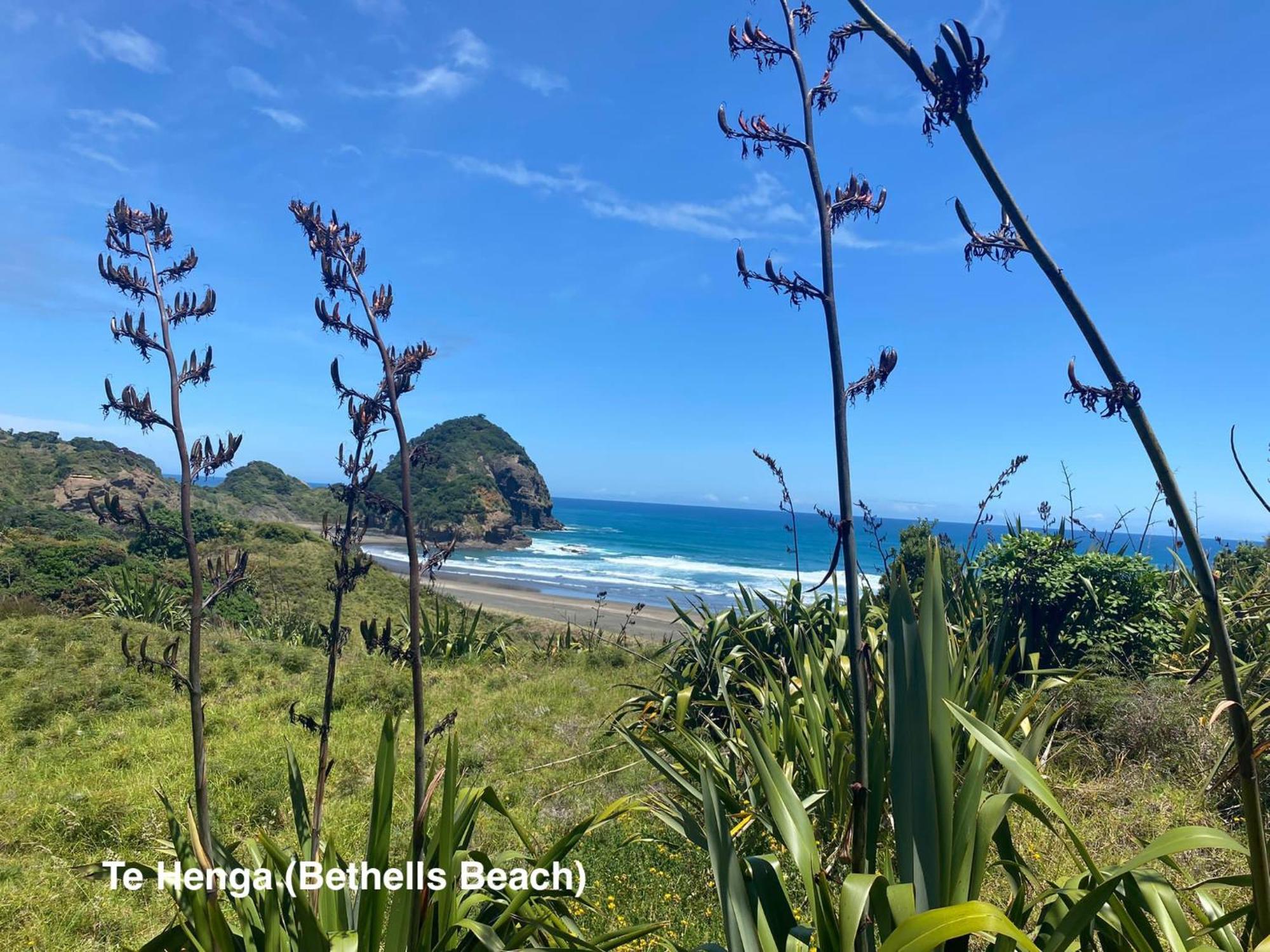 Bethells Beach Te Henga Hideaway 빌라 외부 사진